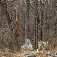 Storytales - 46